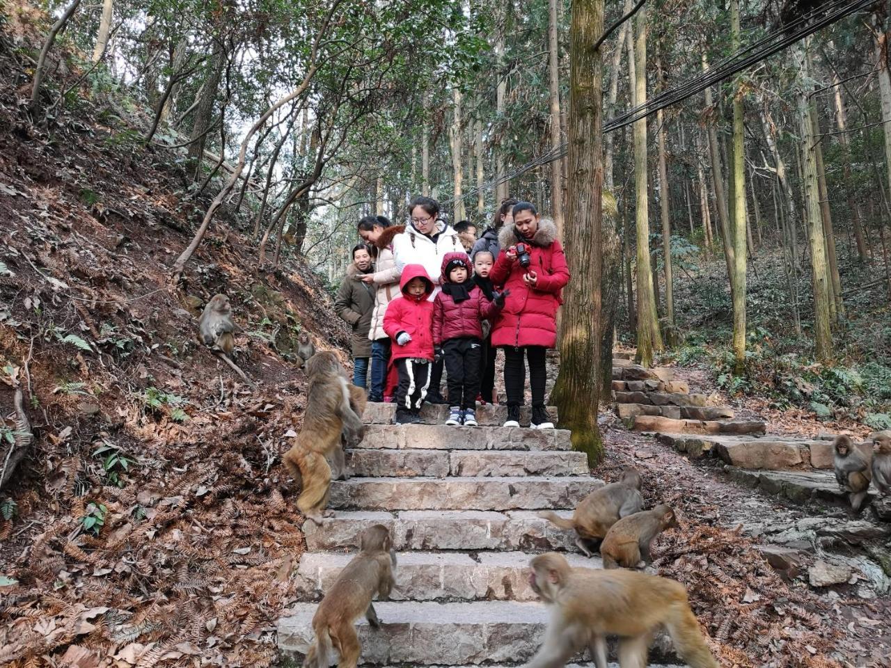 Zhangjiajie National Park Yuelu Homestay Exteriör bild